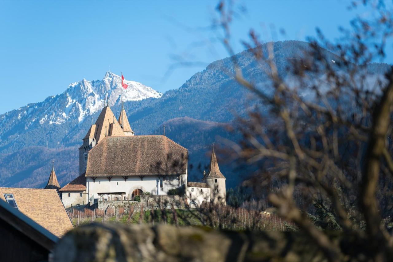 Nonanteneuf Appart Hotel Aigle - Contactless Check-In Kültér fotó